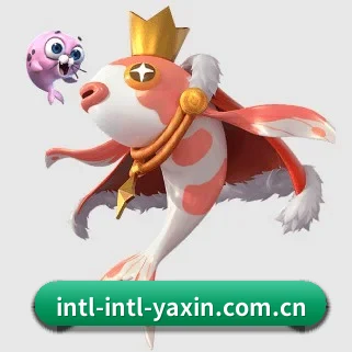 国际化进程（yaxin）